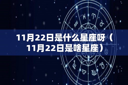 11月22日是什么星座呀（11月22日是啥星座）