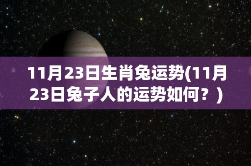 11月23日生肖兔运势(11月23日兔子人的运势如何？)