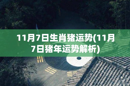 11月7日生肖猪运势(11月7日猪年运势解析)