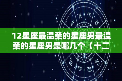 12星座最温柔的星座男最温柔的星座男是哪几个（十二星座最温柔的男生）