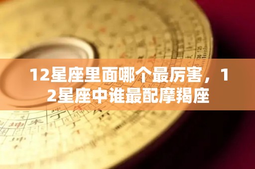 12星座里面哪个最厉害，12星座中谁最配摩羯座