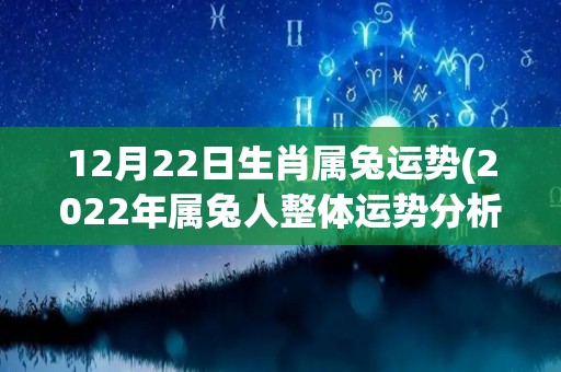 12月22日生肖属兔运势(2022年属兔人整体运势分析)