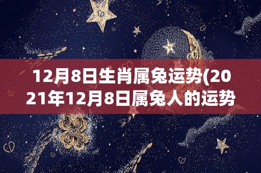12月8日生肖属兔运势(2021年12月8日属兔人的运势分析)