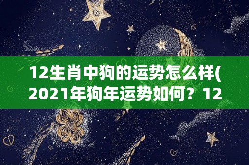 12生肖中狗的运势怎么样(2021年狗年运势如何？12生肖狗的全年解析)