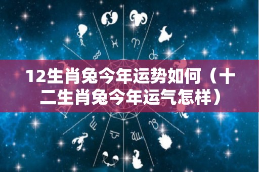 12生肖兔今年运势如何（十二生肖兔今年运气怎样）
