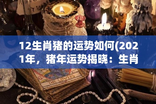 12生肖猪的运势如何(2021年，猪年运势揭晓：生肖猪的发展前景如何？)
