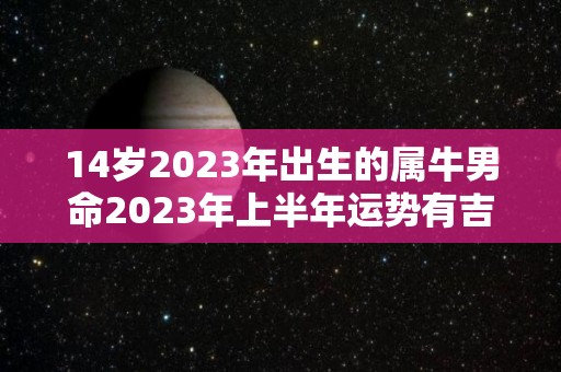 14岁2023年出生的属牛男命2023年上半年运势有吉星入命吗（2024年属牛的几岁）