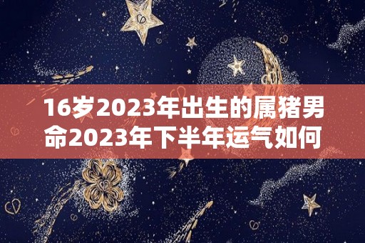 16岁2023年出生的属猪男命2023年下半年运气如何运势详解（2026年属猪人的全年运势男性）