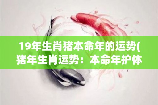 19年生肖猪本命年的运势(猪年生肖运势：本命年护体，运势旺盛！)