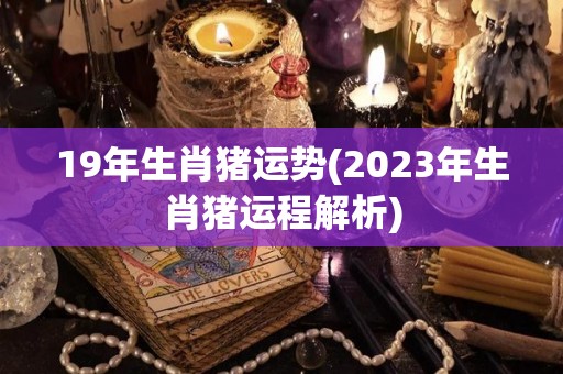 19年生肖猪运势(2023年生肖猪运程解析)