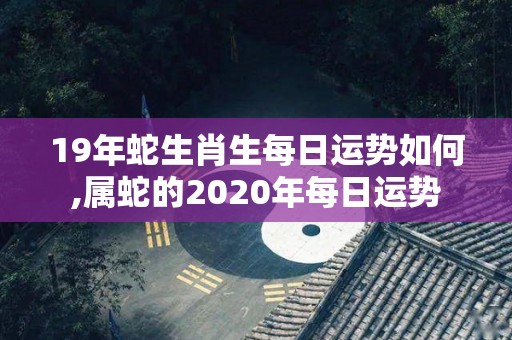 19年蛇生肖生每日运势如何,属蛇的2020年每日运势