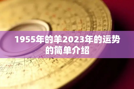 1955年的羊2023年的运势的简单介绍