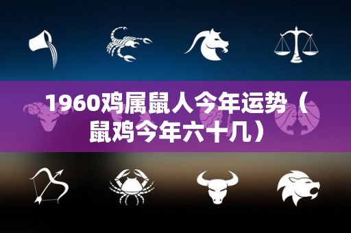 1960鸡属鼠人今年运势（鼠鸡今年六十几）