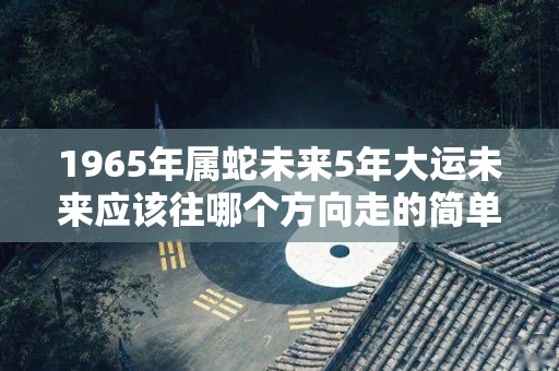 1965年属蛇未来5年大运未来应该往哪个方向走的简单介绍