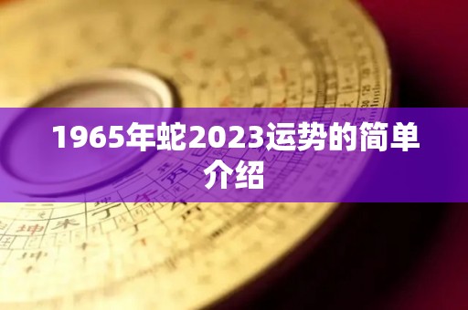 1965年蛇2023运势的简单介绍
