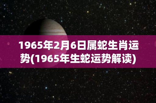 1965年2月6日属蛇生肖运势(1965年生蛇运势解读)
