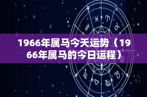1966年属马今天运势（1966年属马的今日运程）