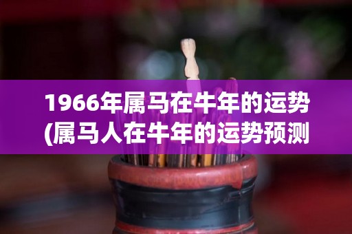 1966年属马在牛年的运势(属马人在牛年的运势预测)
