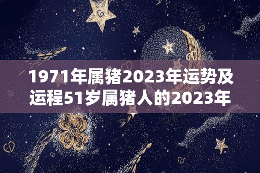 1971年属猪2023年运势及运程51岁属猪人的2023年每月运势详解（1971年属猪2023的命运）