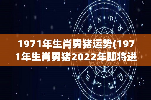 1971年生肖男猪运势(1971年生肖男猪2022年即将进入职场天堂！)