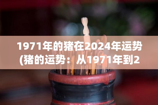 1971年的猪在2024年运势(猪的运势：从1971年到2024年的变化)