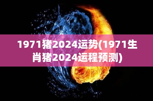 1971猪2024运势(1971生肖猪2024运程预测)