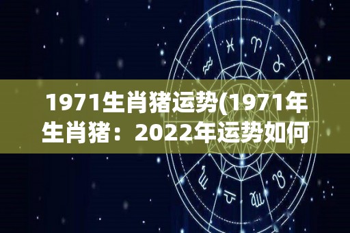 1971生肖猪运势(1971年生肖猪：2022年运势如何？)