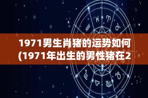 1971男生肖猪的运势如何(1971年出生的男性猪在2021年的运势如何？)