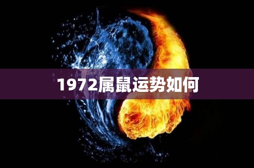 1972属鼠运势如何