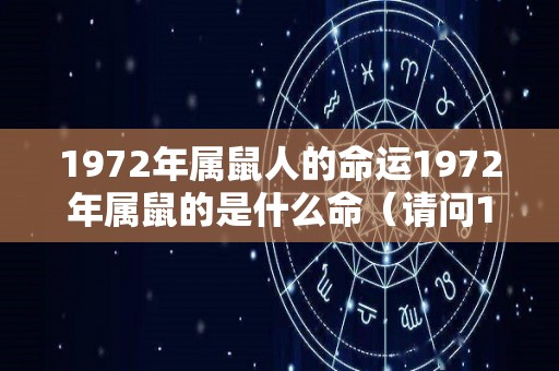 1972年属鼠人的命运1972年属鼠的是什么命（请问1972年属鼠的是什么命）