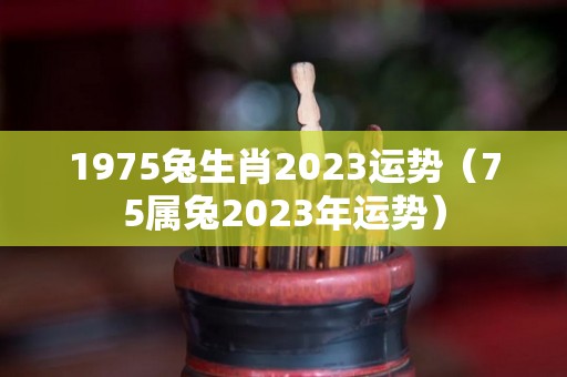 1975兔生肖2023运势（75属兔2023年运势）