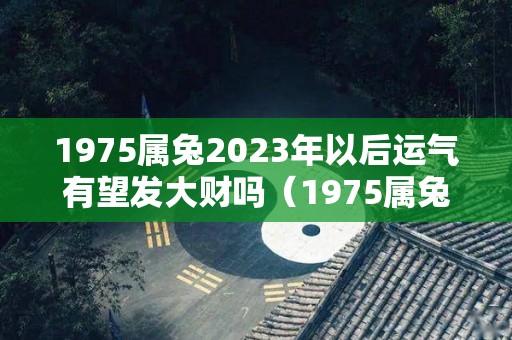 1975属兔2023年以后运气有望发大财吗（1975属兔2023年运势）