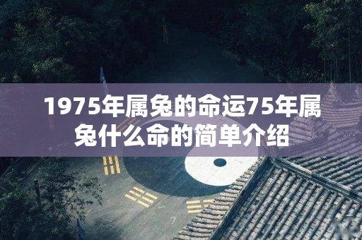 1975年属兔的命运75年属兔什么命的简单介绍