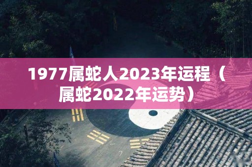 1977属蛇人2023年运程（属蛇2022年运势）