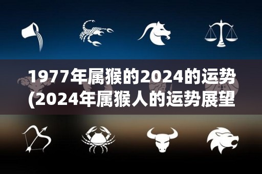 1977年属猴的2024的运势(2024年属猴人的运势展望)