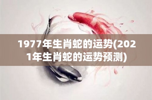 1977年生肖蛇的运势(2021年生肖蛇的运势预测)