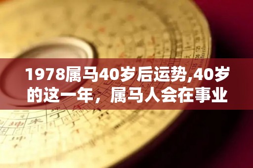 1978属马40岁后运势,40岁的这一年，属马人会在事业上遇到一些困难