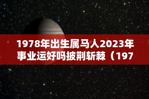 1978年出生属马人2023年事业运好吗披荆斩棘（1978属马2023年运势及运程）
