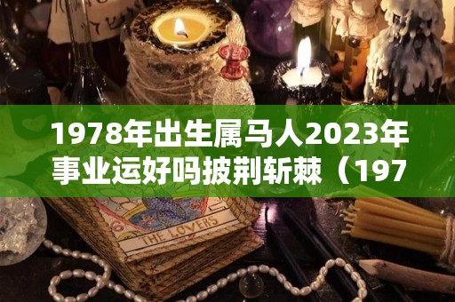 1978年出生属马人2023年事业运好吗披荆斩棘（1978年的马2023年的财运如何）