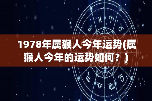 1978年属猴人今年运势(属猴人今年的运势如何？)