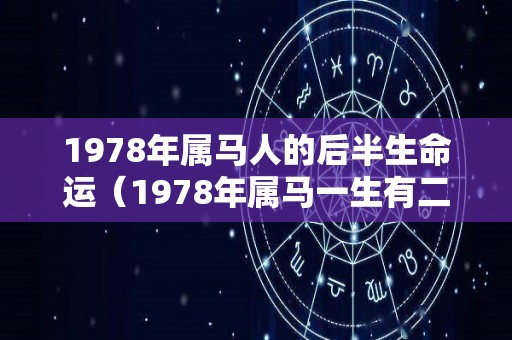 1978年属马人的后半生命运（1978年属马一生有二婚）