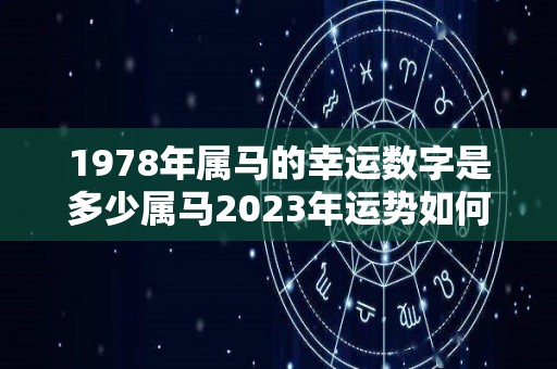 1978年属马的幸运数字是多少属马2023年运势如何（78年属马2020年幸运数）