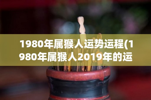 1980年属猴人运势运程(1980年属猴人2019年的运势分析)