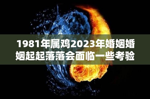 1981年属鸡2023年婚姻婚姻起起落落会面临一些考验（81年属鸡2023年运势及运程每月运程男）