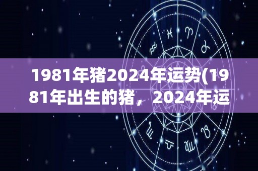 1981年猪2024年运势(1981年出生的猪，2024年运势如何？)