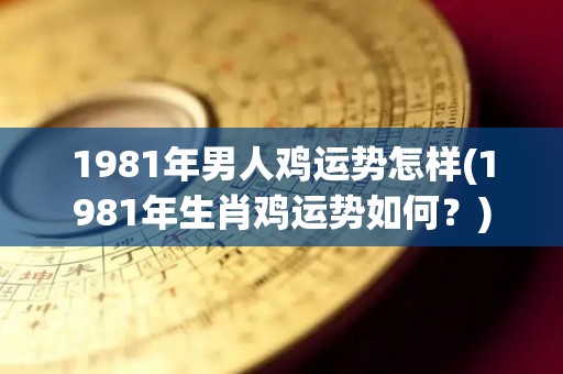 1981年男人鸡运势怎样(1981年生肖鸡运势如何？)