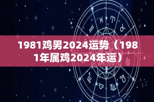 1981鸡男2024运势（1981年属鸡2024年运）