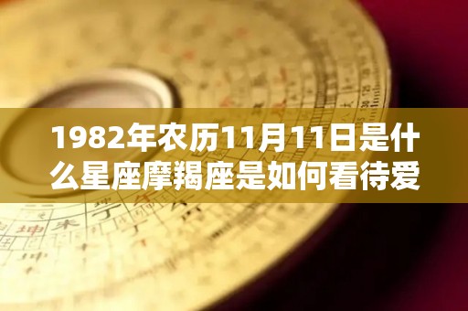 1982年农历11月11日是什么星座摩羯座是如何看待爱情的（1982年阳历11月11日是什么星座）