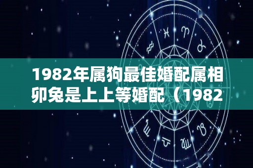 1982年属狗最佳婚配属相卯兔是上上等婚配（1982年属狗的婚配禁忌）