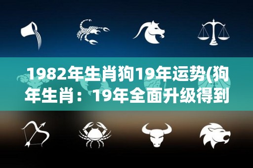 1982年生肖狗19年运势(狗年生肖：19年全面升级得到好处)